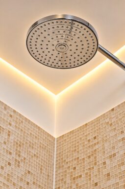 Rain shower detail in the Two-Bedroom Companion Apartment Heidelberg