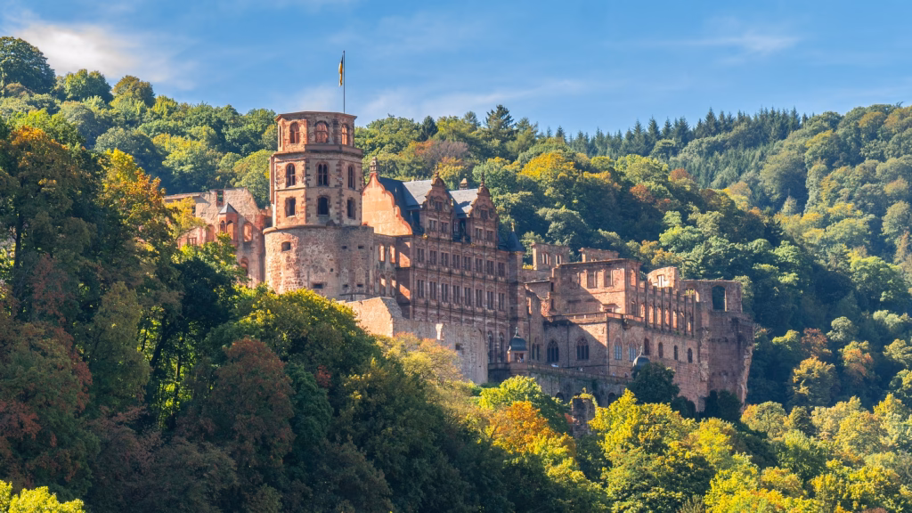 Our location is an ideal base from which to explore and discover.