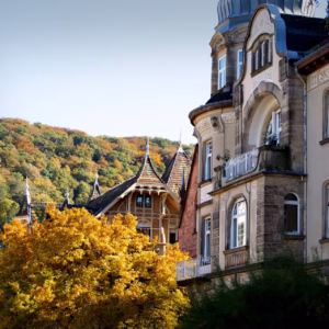 heidelberg-1808084_1920